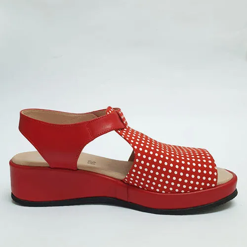 318 low red dots